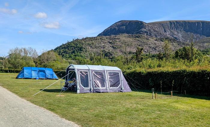 Grass Pitches with Electric
